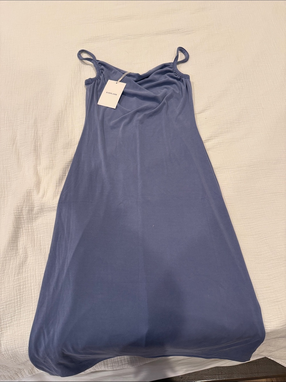Everlane Blue Midi Cowl Neck Dress
